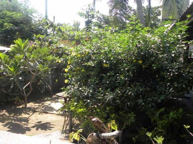 Malino Homestay Gili Trawangan Exterior foto